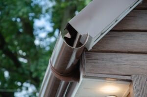 Gutters with Debris