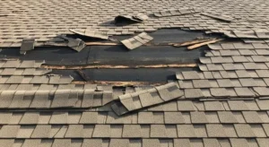 gutter with debris