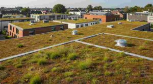 Green Roofing Systems