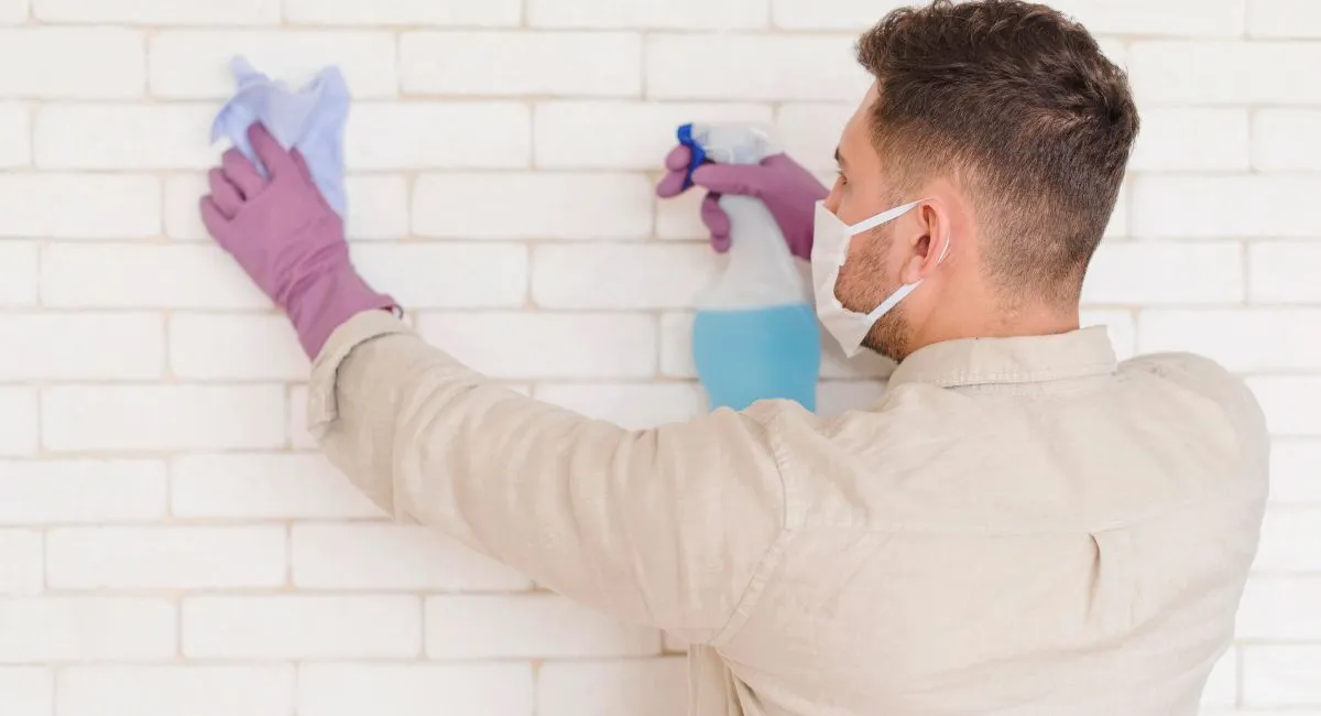 Mold Reappearing after Do-It-Yourself Cleanup