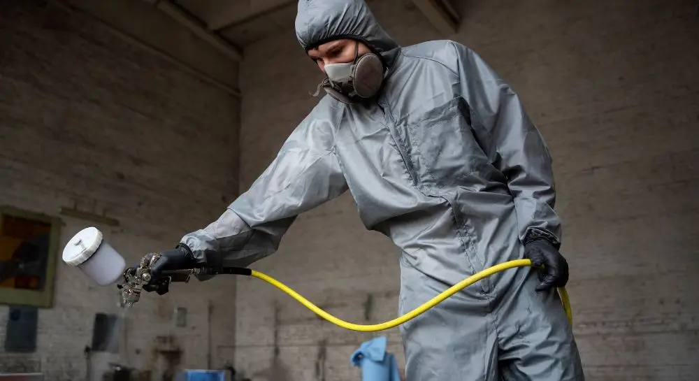 Professional Mold Remediation