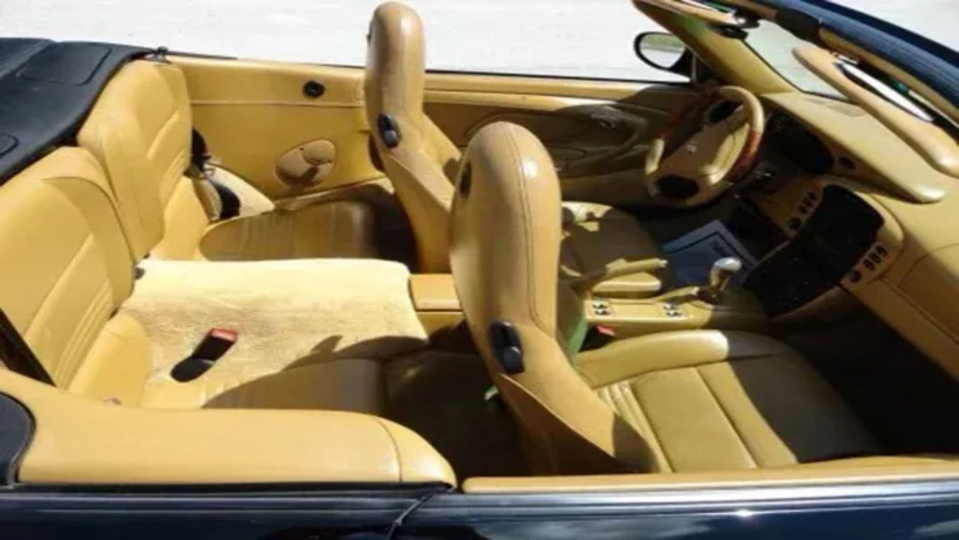 premium interior detailing service in Jacksonville Florida