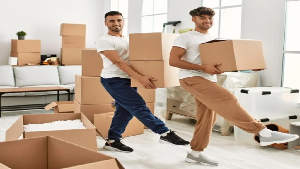 Professional Packers and Movers Service