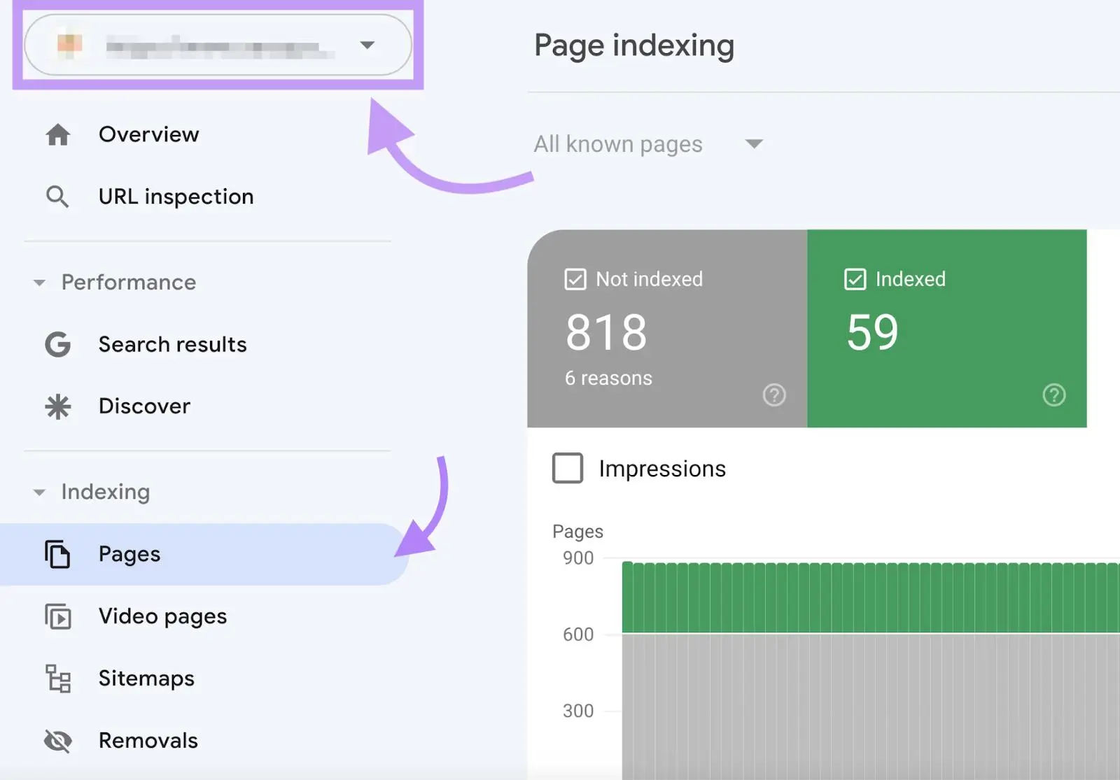 Indexed Pages by City Pagez