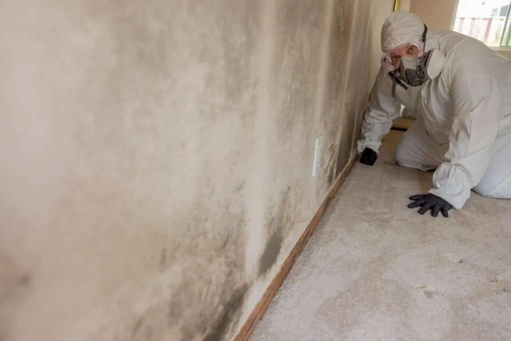 SEO services for Mold Companies