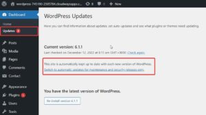 Why WordPress Maintenance is Critical for SEO